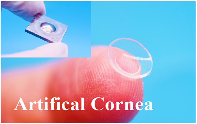 聚焦高端生物組織功能膜科研轉化，博創(chuàng  )生物喜獲天使+輪融資