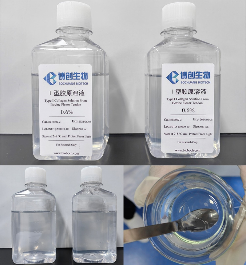 膠原蛋白/衍生品